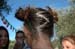 mariage  paul et marie 071